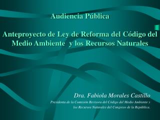 Dra. Fabiola Morales Castillo Presidenta de la Comisión Revisora del Código del Medio Ambiente y