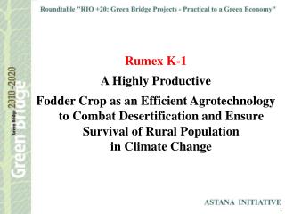 Rumex K-1 A Highly Productive