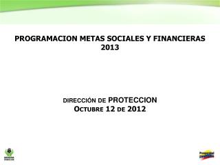 PROGRAMACION METAS SOCIALES Y FINANCIERAS 2013 dirección de PROTECCION Octubre 12 de 2012