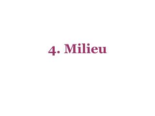 4. Milieu