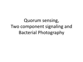 Quorum sensing, Two component signaling and Bacterial Photography
