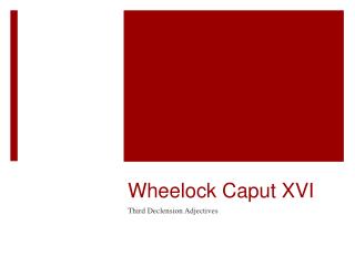 Wheelock Caput XVI