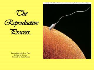 The Reproductive Process…