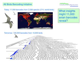 Today: 11,000 barcodes from 2,038 species (21% world birds)