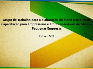 Micro e Pequenas Empresas no Cenário Nacional O PNCA – MPE sob a égide do Plano Brasil Maior
