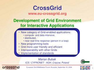 Development of Grid Environment for Interactive Applications