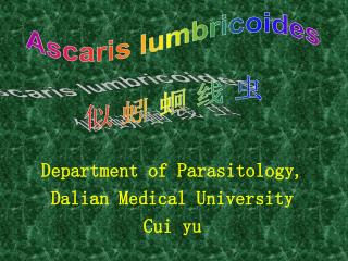 Department of Parasitology, Dalian Medical University Cui yu