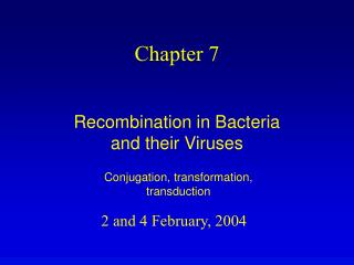 Chapter 7