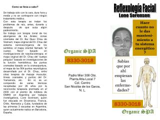 Reflexología Facial