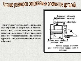 Чтение размеров сопрягаемых элементов деталей.