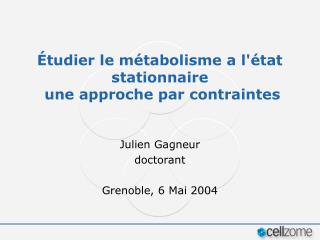 Étudier le métabolisme a l'état stationnaire une approche par contraintes