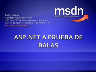 Rodrigo Salinas Arquitecto / Consultor / Trainer .NET, Java EE, Seguridad &amp; Business Intelligence