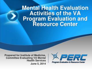 Mental Health Evaluation Activities of the VA Program Evaluation and Resource Center