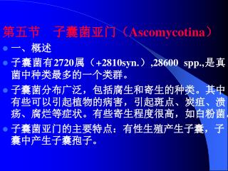 第五节 子囊菌亚门（ Ascomycotina ） 一、概述 子囊菌有 2720 属（ +2810syn. ） ,28600 spp., 是真菌中种类最多的一个类群。