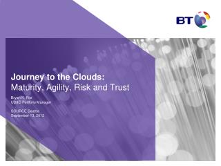 Journey to the Clouds: Maturity, Agility, Risk and Trust