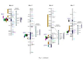 Fig. 1. continued