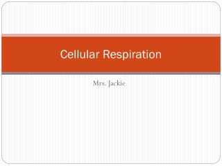 Cellular Respiration