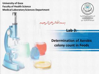 Lab 3: Determination of Aerobic colony count in Foods