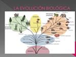 LA EVOLUCI N BIOL GICA