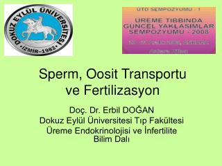 Sperm, Oosit Transportu ve Fertilizasyon