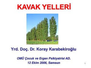 KAVAK YELLERİ