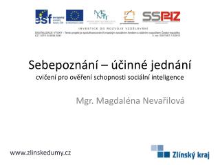 Sebepoznání – účinné jednání cvičení pro ověření schopnosti sociální inteligence