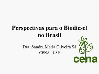 Perspectivas para o Biodiesel no Brasil