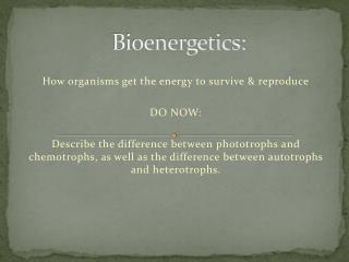 Bioenergetics: