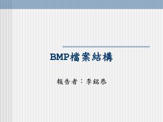 BMP 檔案結構