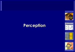 Perception