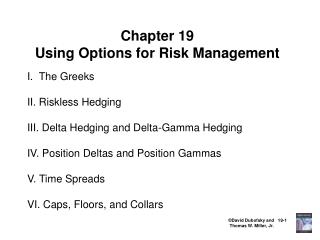 Chapter 19 Using Options for Risk Management