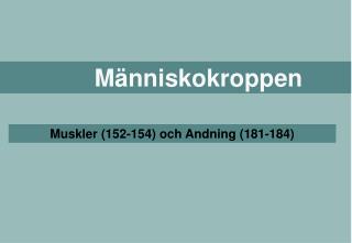 Människokroppen