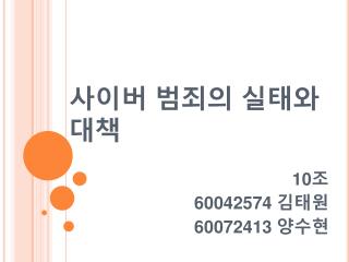사이버 범죄의 실태와 대책