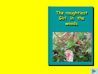 The naughtiest Girl in the woods