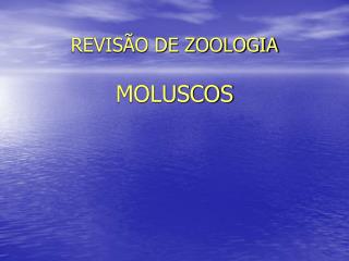 REVISÃO DE ZOOLOGIA MOLUSCOS