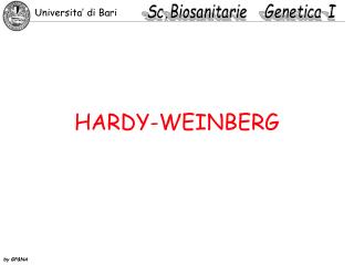 HARDY-WEINBERG