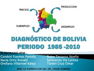 DIAGNÓSTICO DE BOLIVIA PERIODO 1985 -2010
