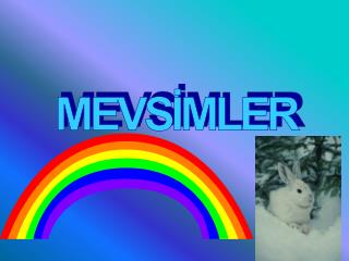 MEVSİMLER