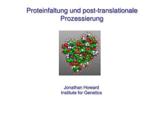 Proteinfaltung und post-translationale Prozessierung