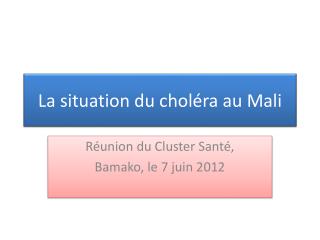 La situation du choléra au Mali