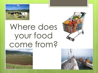 Where does your food come from?