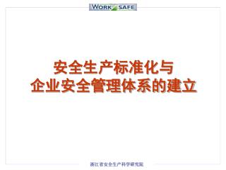 安全生产标准化与 企业安全管理体系的建立