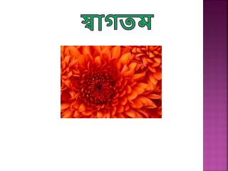 স্বাগতম