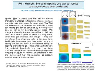 IRG-II Highlight: Self-beating plastic gels can be induced to change size and color on demand