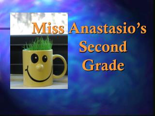 Miss Anastasio’s Second Grade