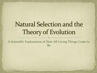 Natural Selection and the Theory of Evolution