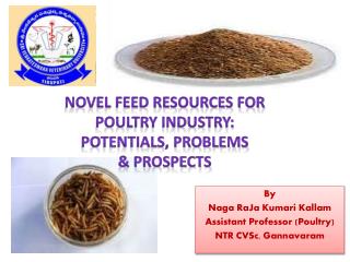 By Naga RaJa Kumari Kallam Assistant Professor (Poultry) NTR CVSc , Gannavaram