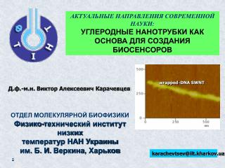 АКТУАЛЬНЫЕ НАПРАВЛЕНИЯ СОВРЕМЕННОЙ НАУКИ :