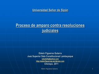 PROCESO DE AMPARO Basamento constitucional ( Artículo 200 inciso 2 Constitución 1993)