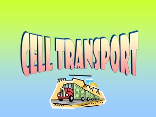 Cell Transport